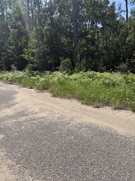 LAND - Mancelona, MI