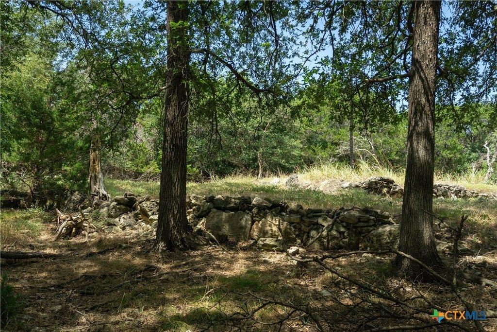 Picture 25