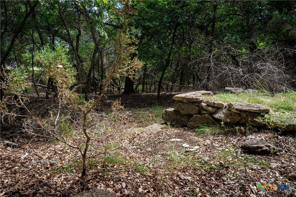 Picture 12