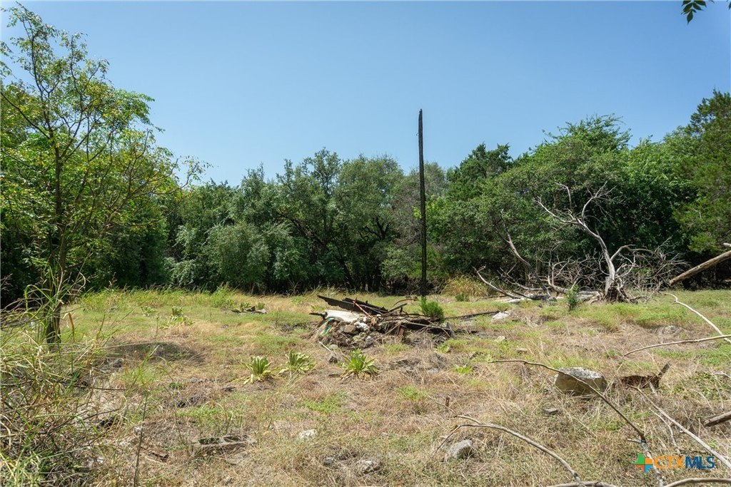 Picture 22