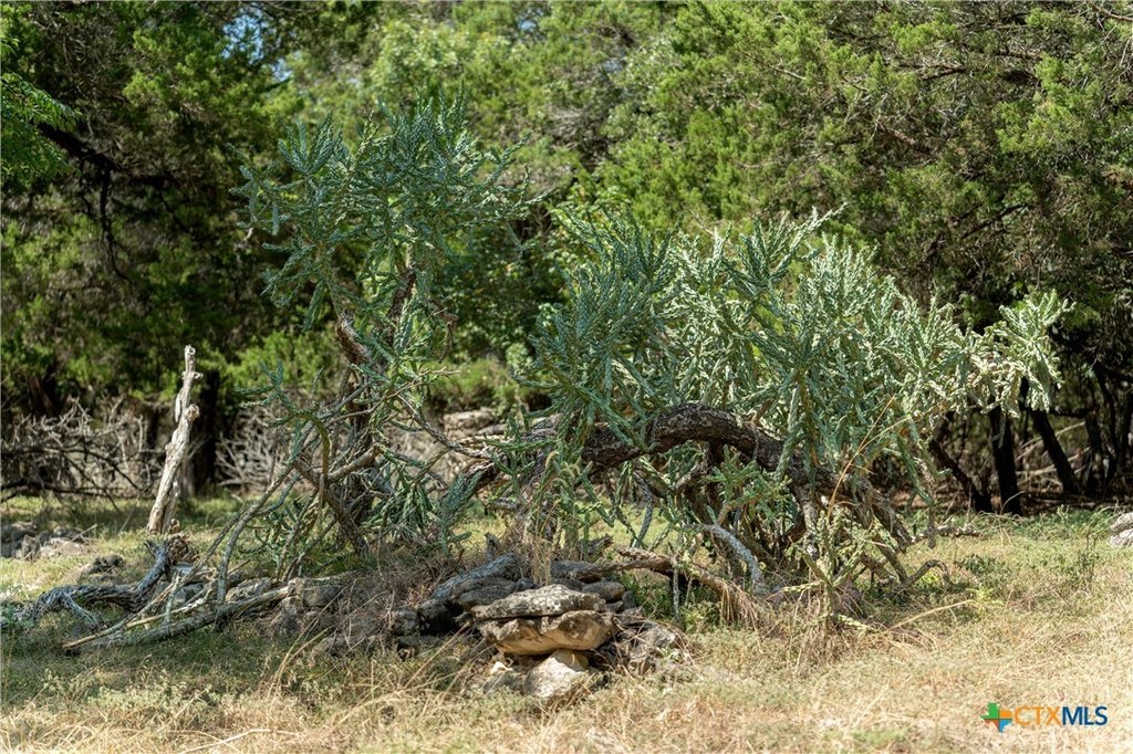 Picture 19