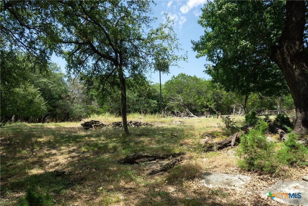Picture 23