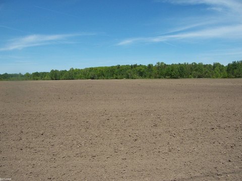 Commercial Land with Utilities at Road