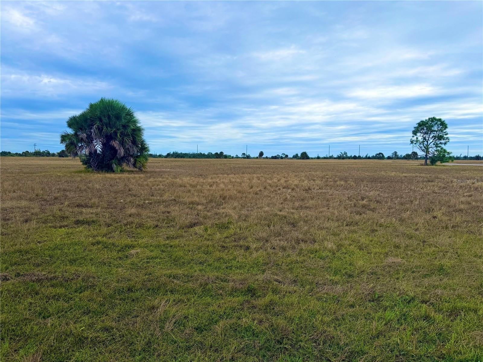 Land in Rotonda Meadows