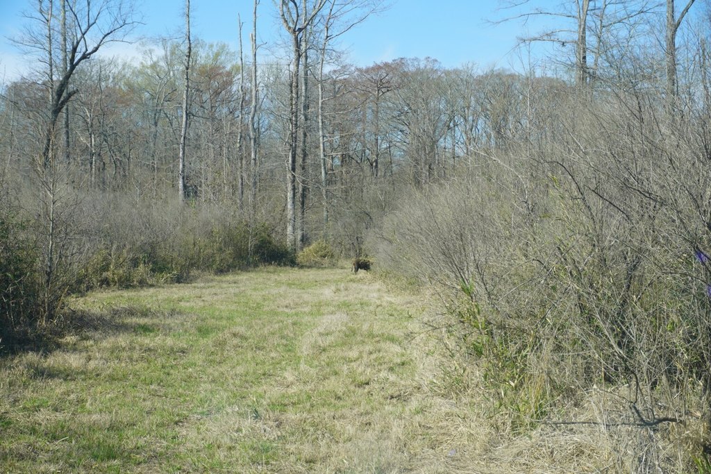 Picture 27