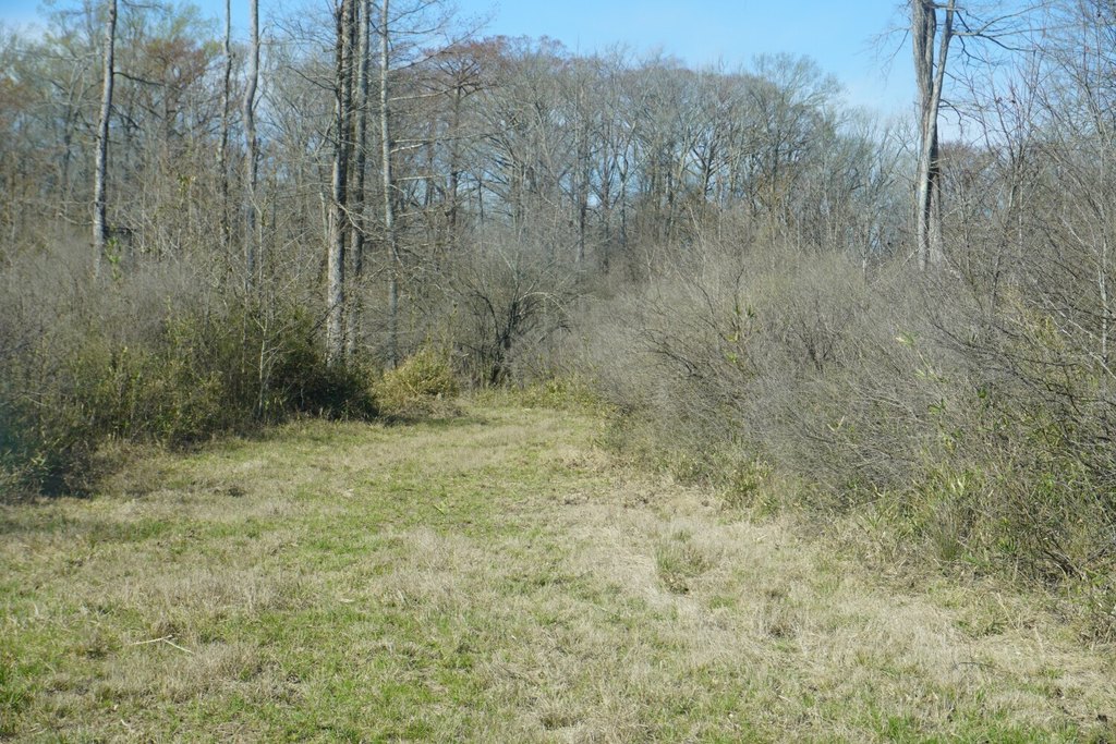 Picture 29