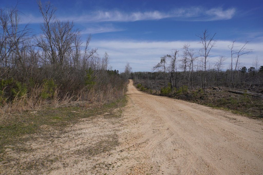Picture 33