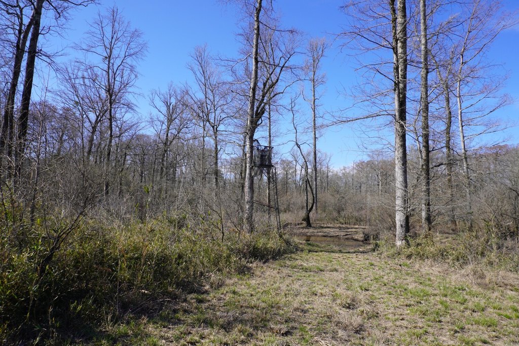 Picture 30
