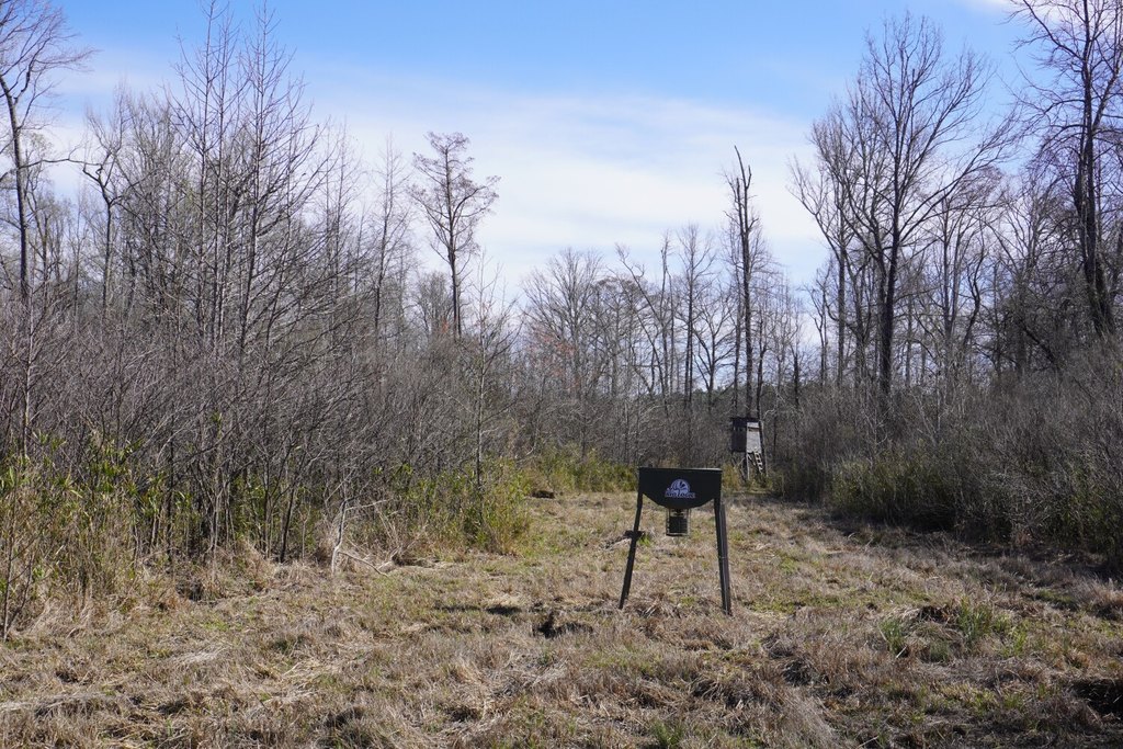 Picture 25