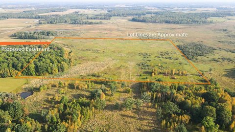 40 Acres Hunting Land Parcel