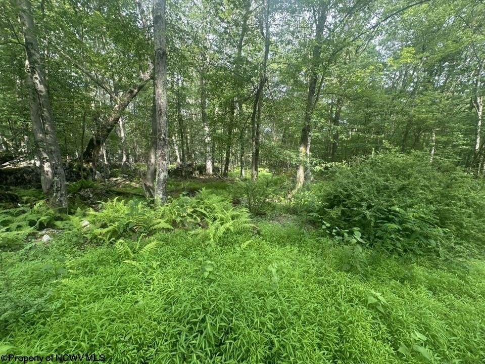 Picture 3