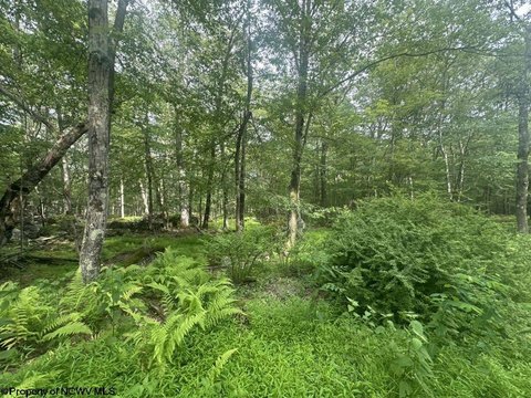 Lots/Land, Terra Alta, WV