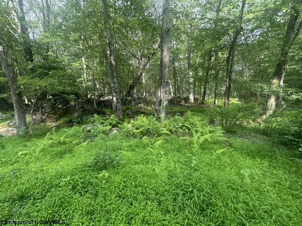 Picture 5