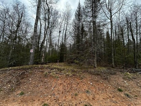 Eagle River Land Parcel