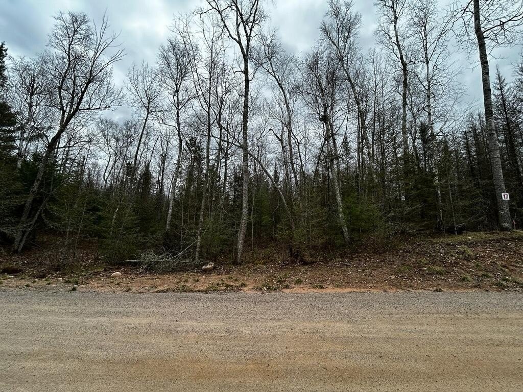Picture 2