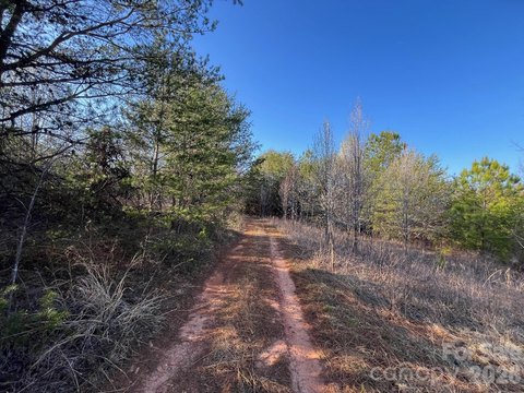 Unrestricted Land with Creek
