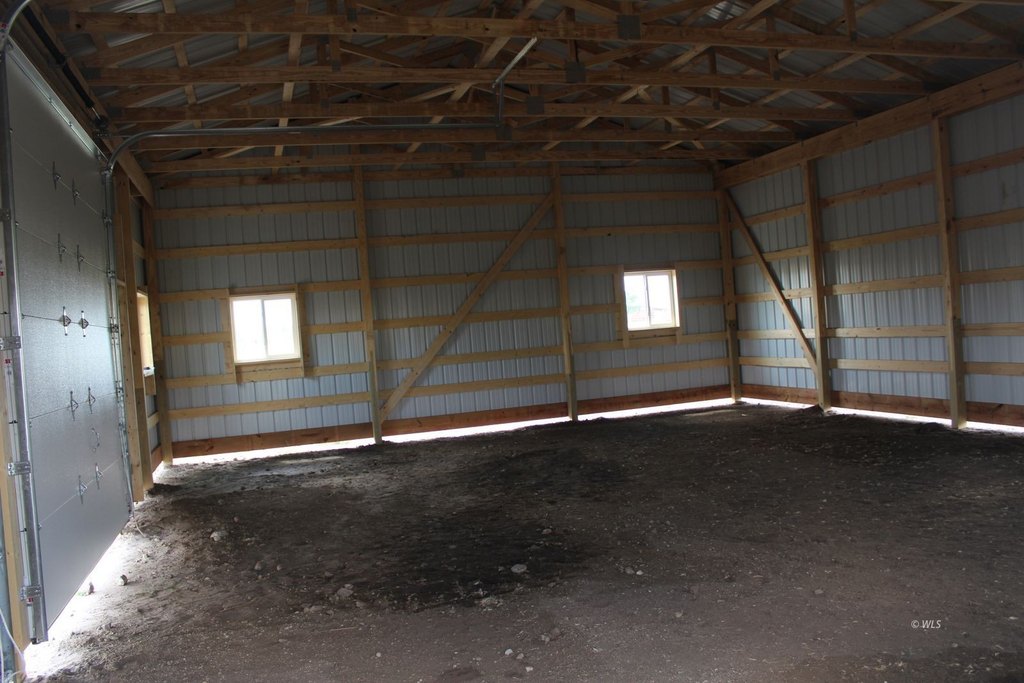 Picture 5