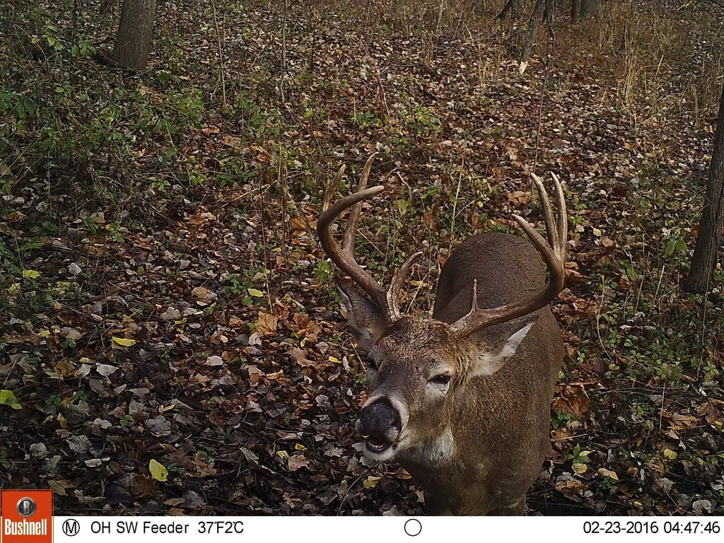 Picture 28