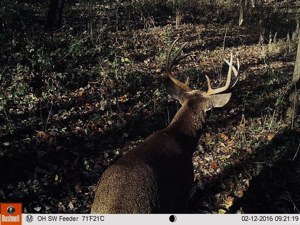 Picture 31