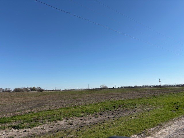 Picture 8