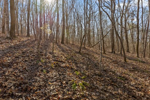 Residential Land in Soddy Daisy
