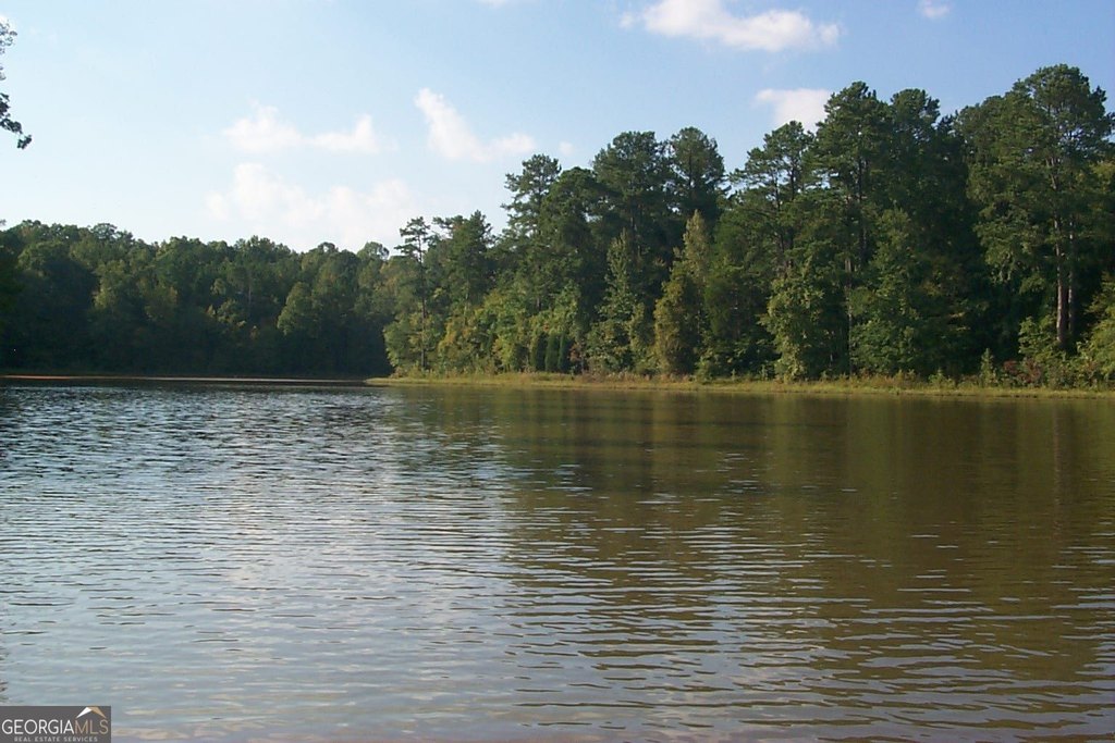 Picture 9
