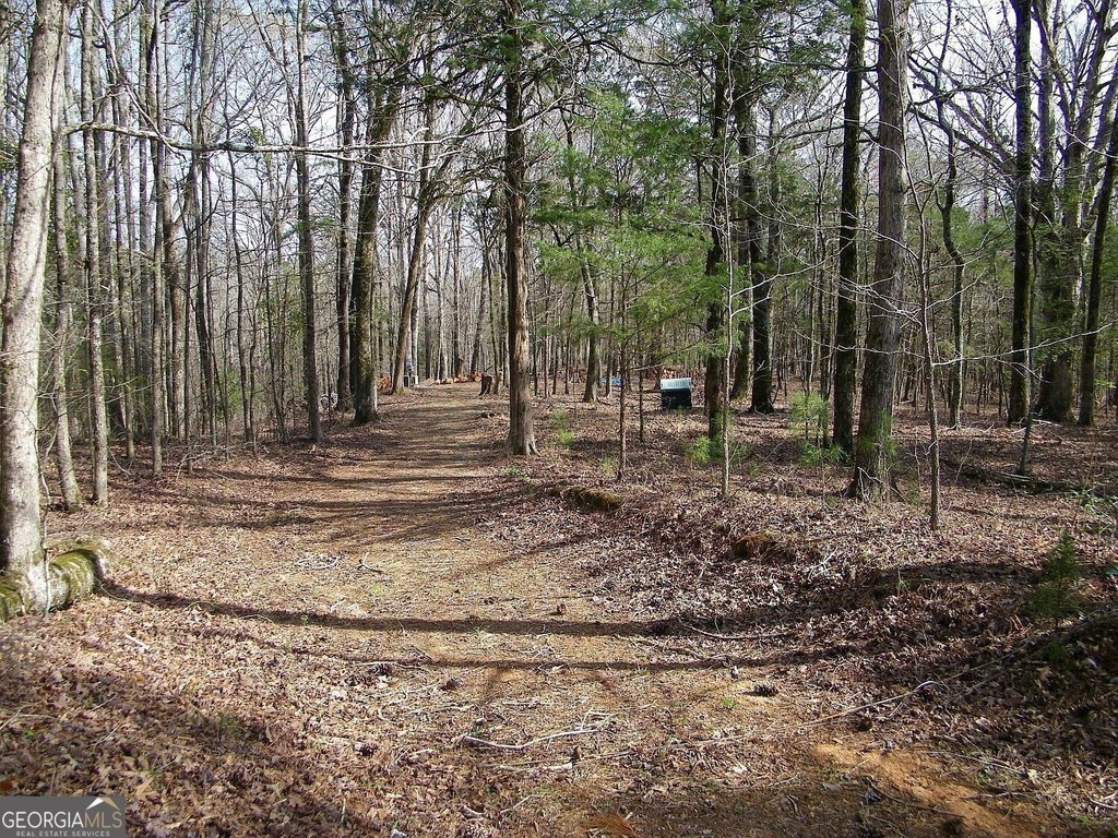 Picture 3