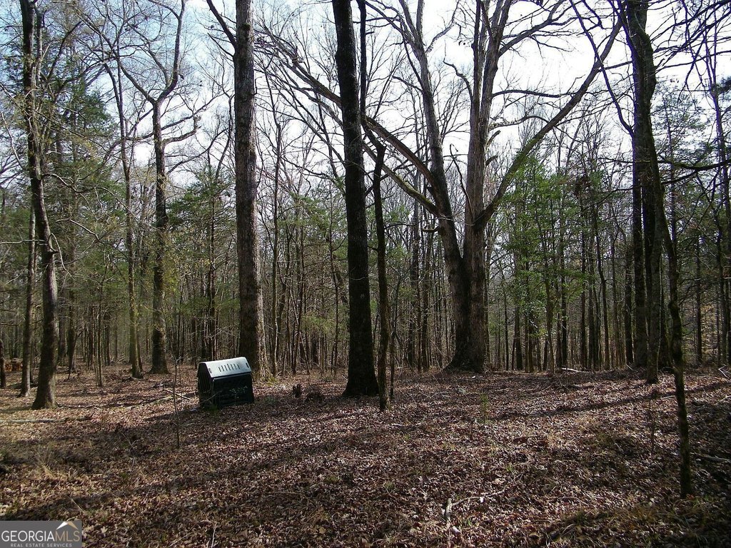 Picture 5