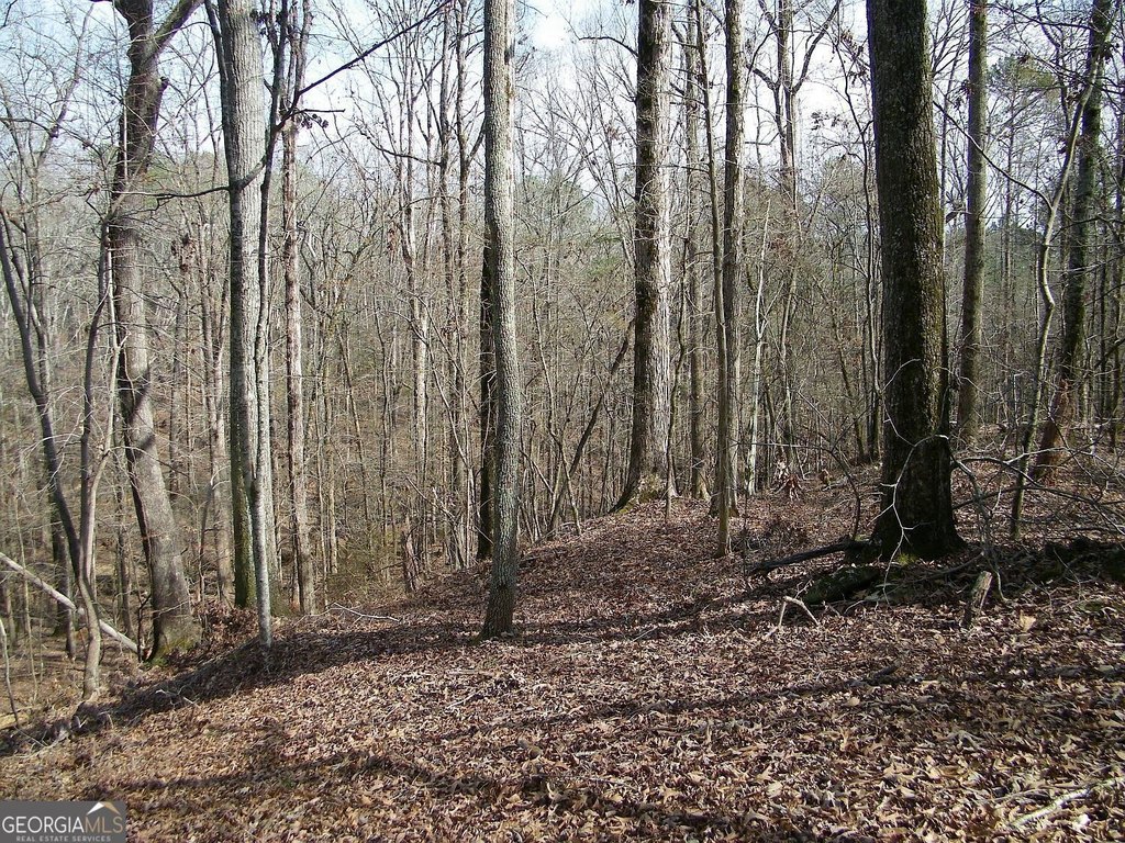 Picture 7