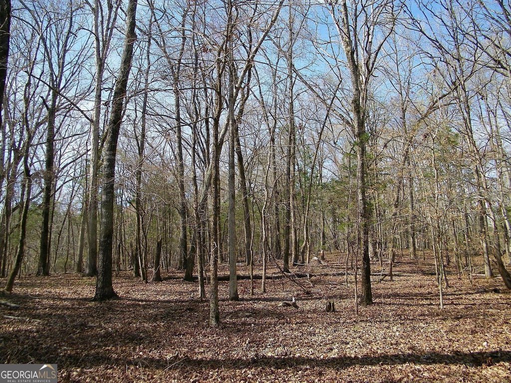 Picture 8