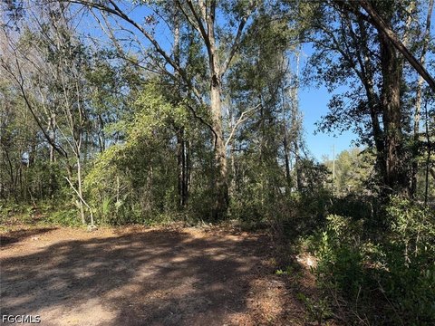 Land, Lehigh Acres, FL