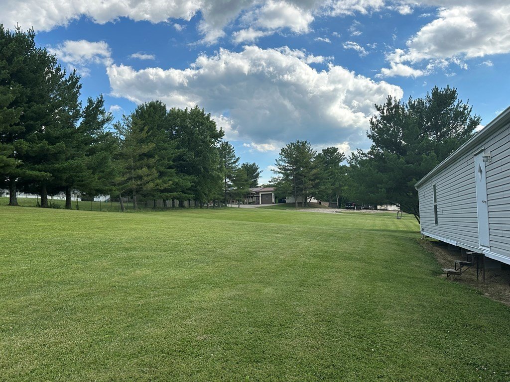 Picture 5
