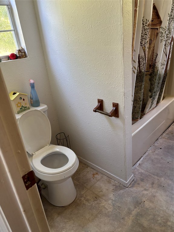 Picture 12