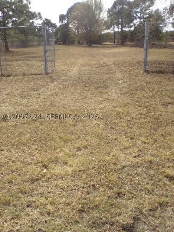 Picture 5