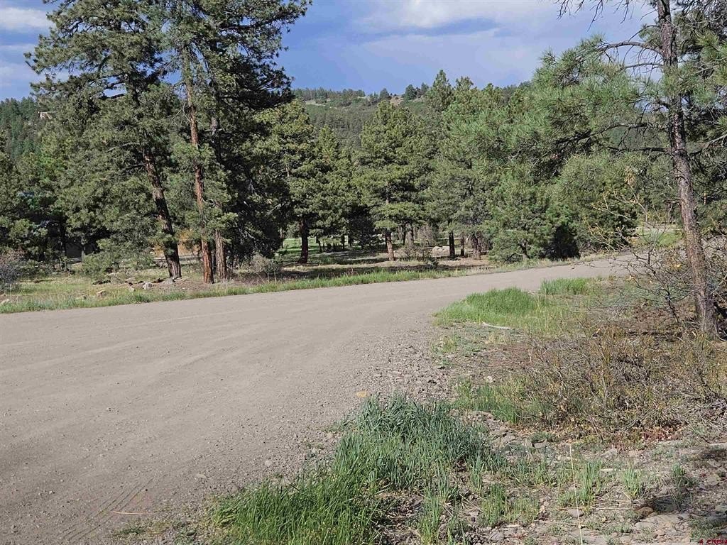 Picture 33