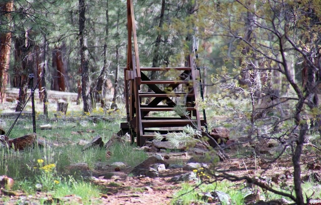 Picture 39