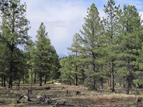 Land in Pagosa Springs, CO