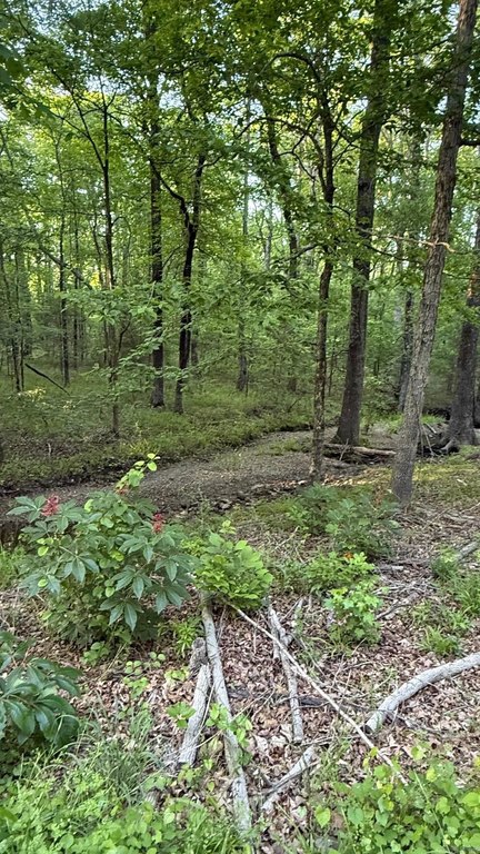 Picture 4