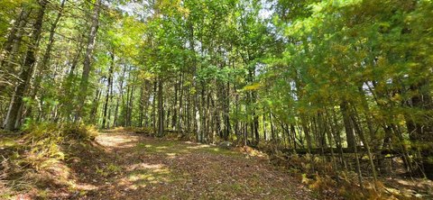 Land, Narrowsburg, NY