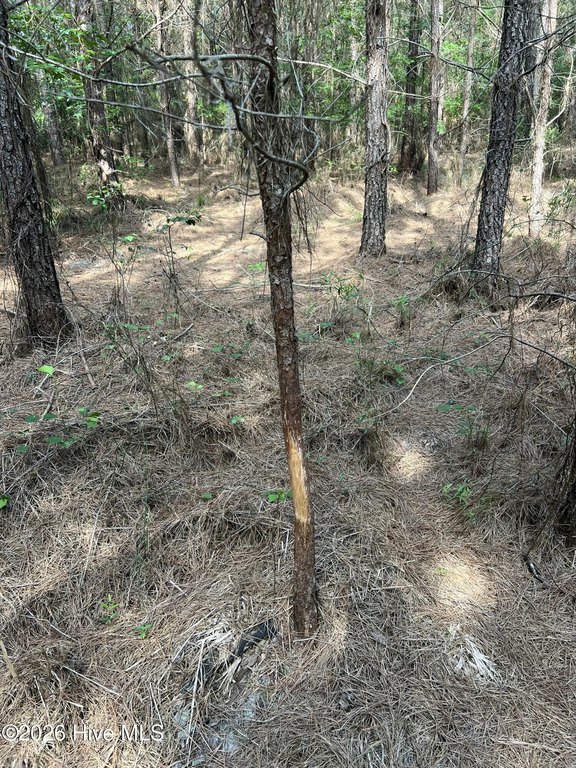 Picture 16