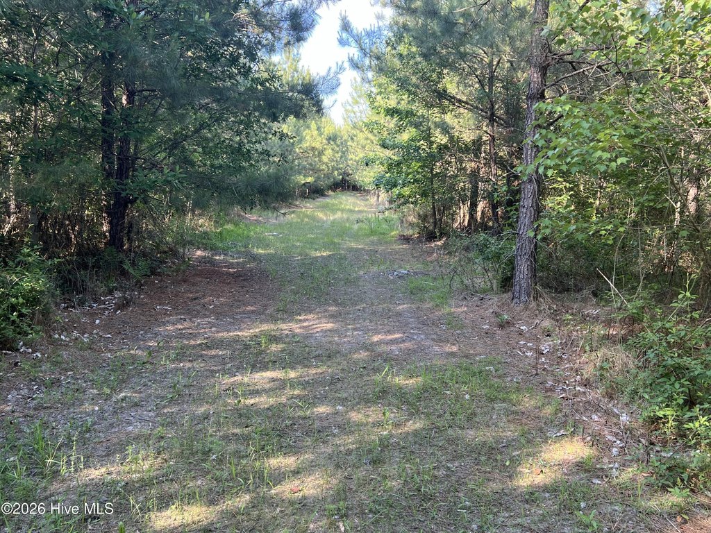 Picture 25