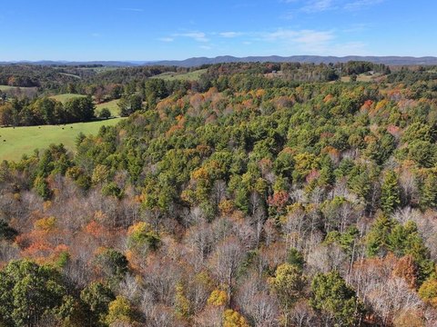 Wooded Creekfront Land