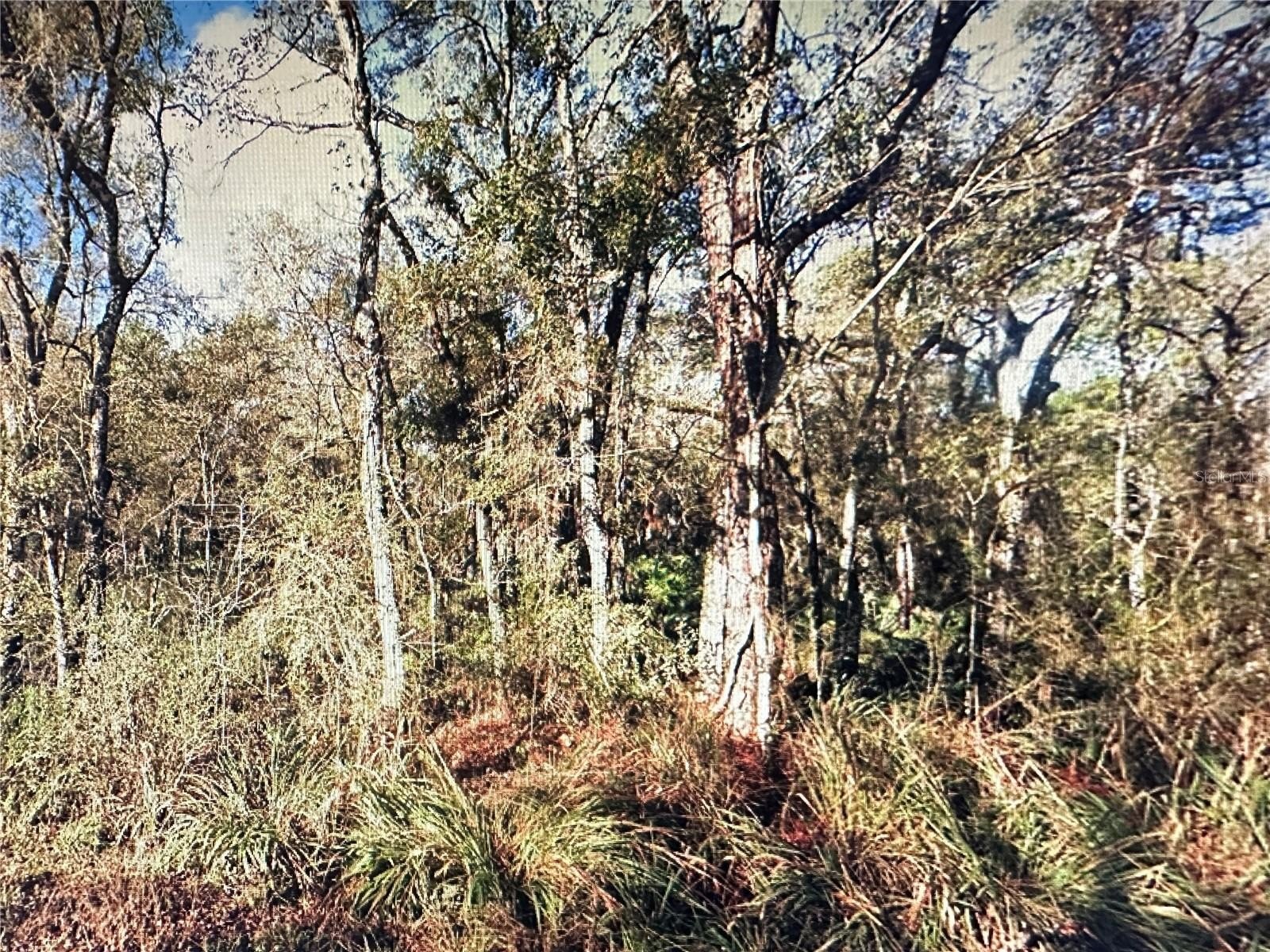 Residential Acreage in Ridge Manor