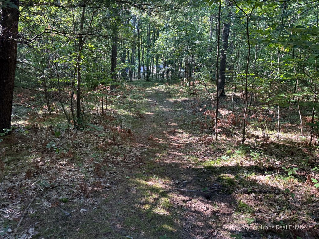 Picture 46
