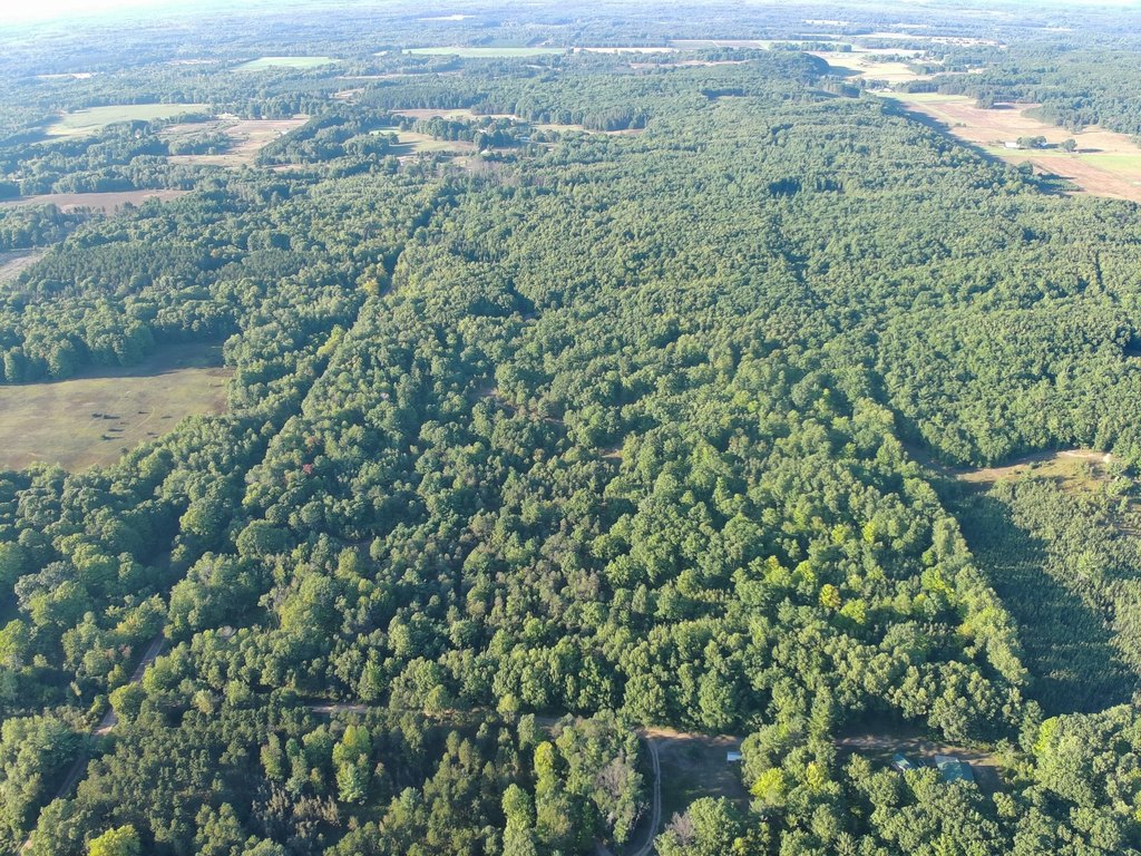 Picture 25