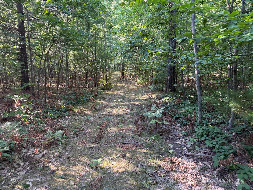 Picture 45