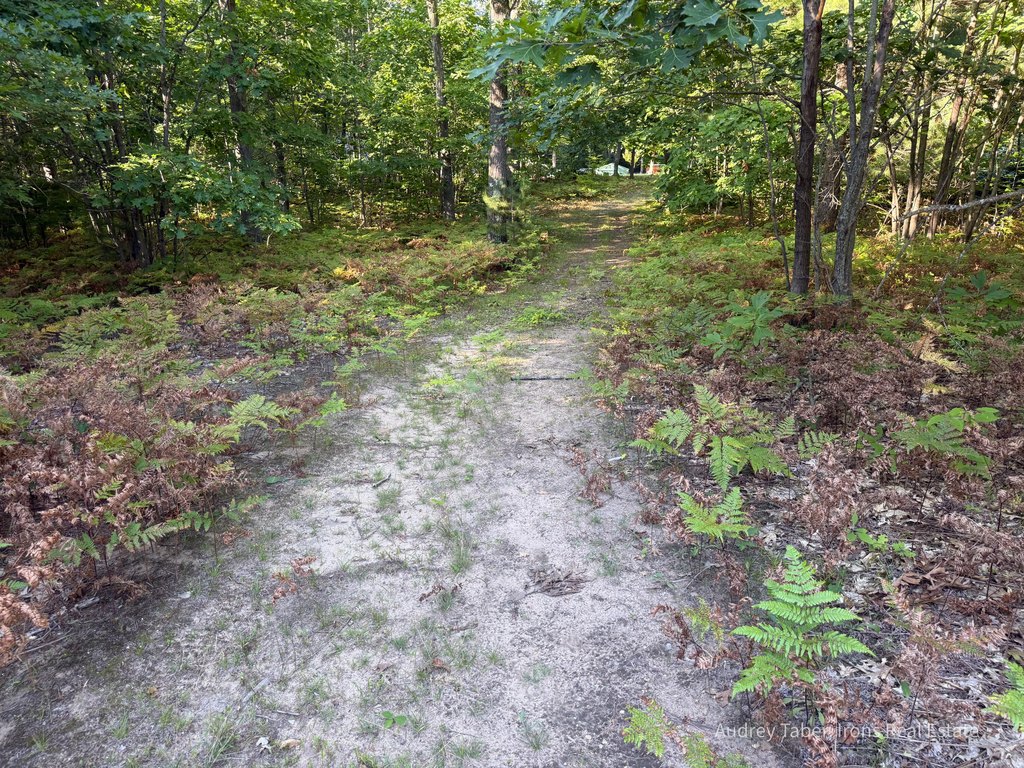 Picture 34