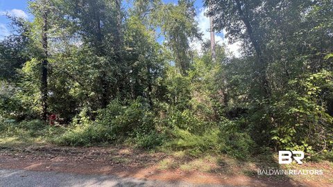 Waterfront Land Lot with Private Access