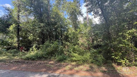 Waterfront Land Lot with Private Access