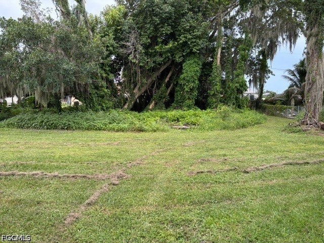 Picture 4